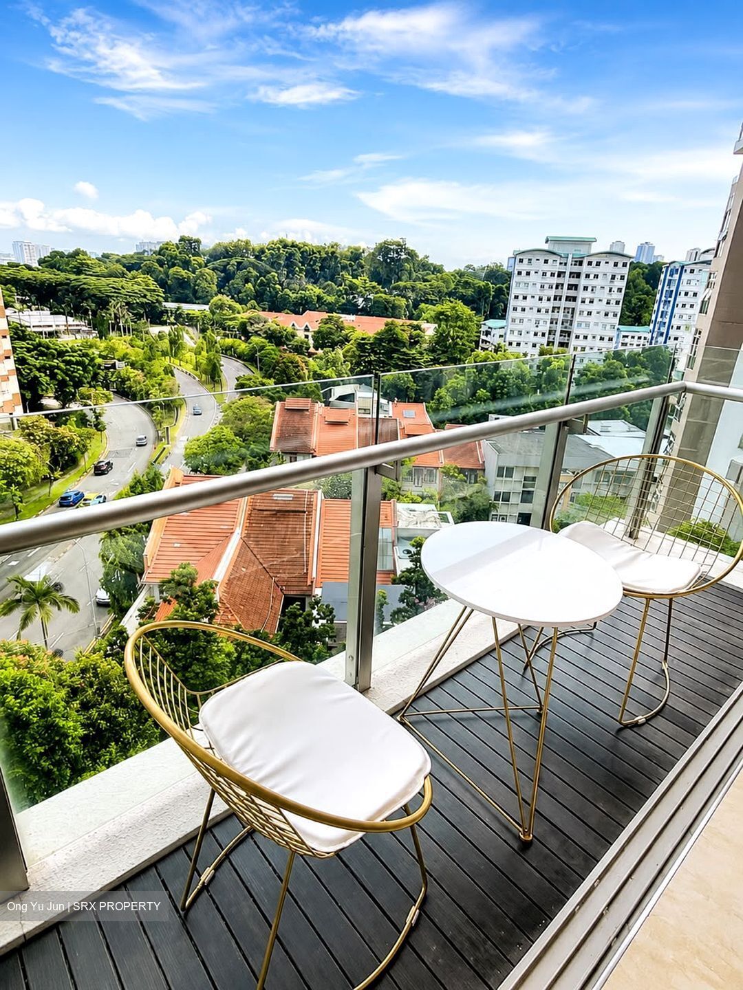 Cairnhill Crest (D9), Condominium #589300641